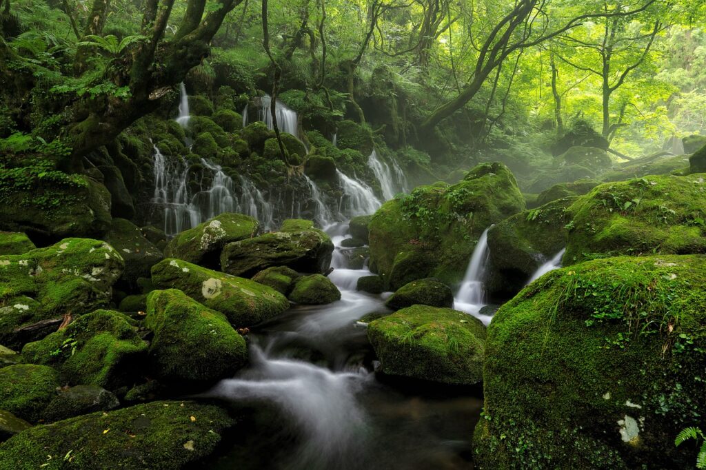 Best Hotels Near Shin-Yatsushiro Station | The Kuma River Valley