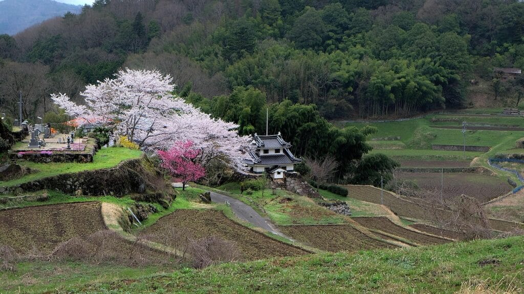 Mikawa-Anjo Station Guide | The Tokaido’s Quietest Stop