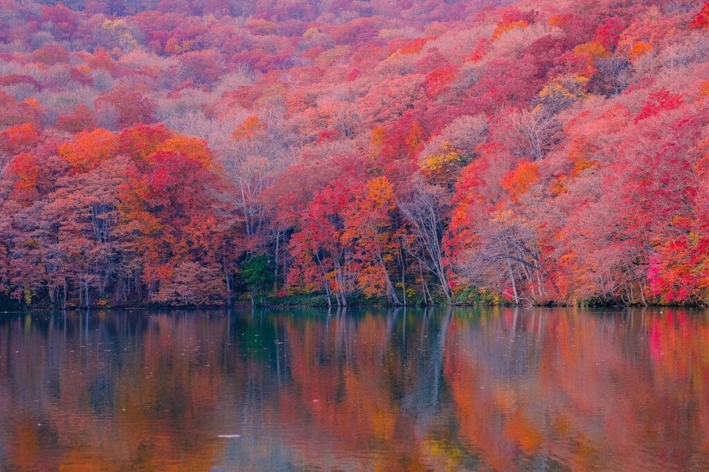 Best Hotels Near Karuizawa Station | Japan’s Highland Resort