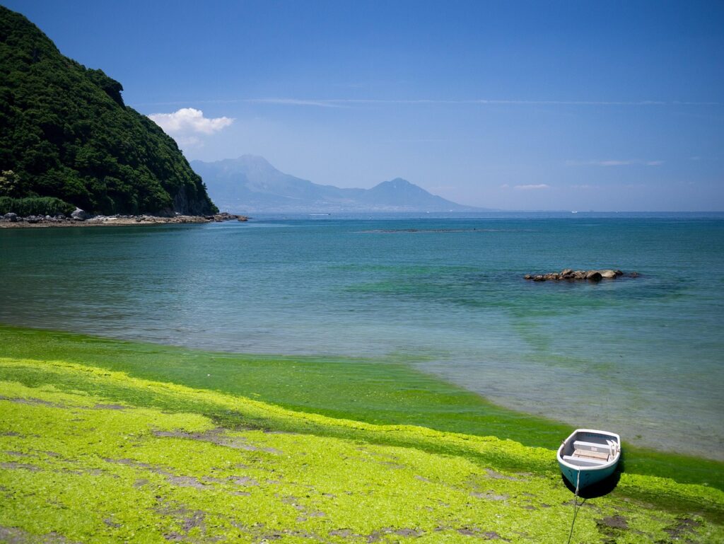 Shin-Minamata Station Guide | Environmental Recovery & Amakusa
