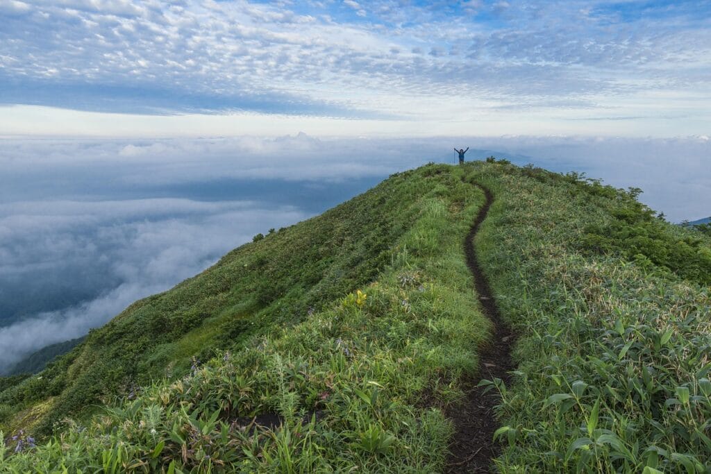 Best Hotels Near Fukui Station | Dinosaurs & Zen