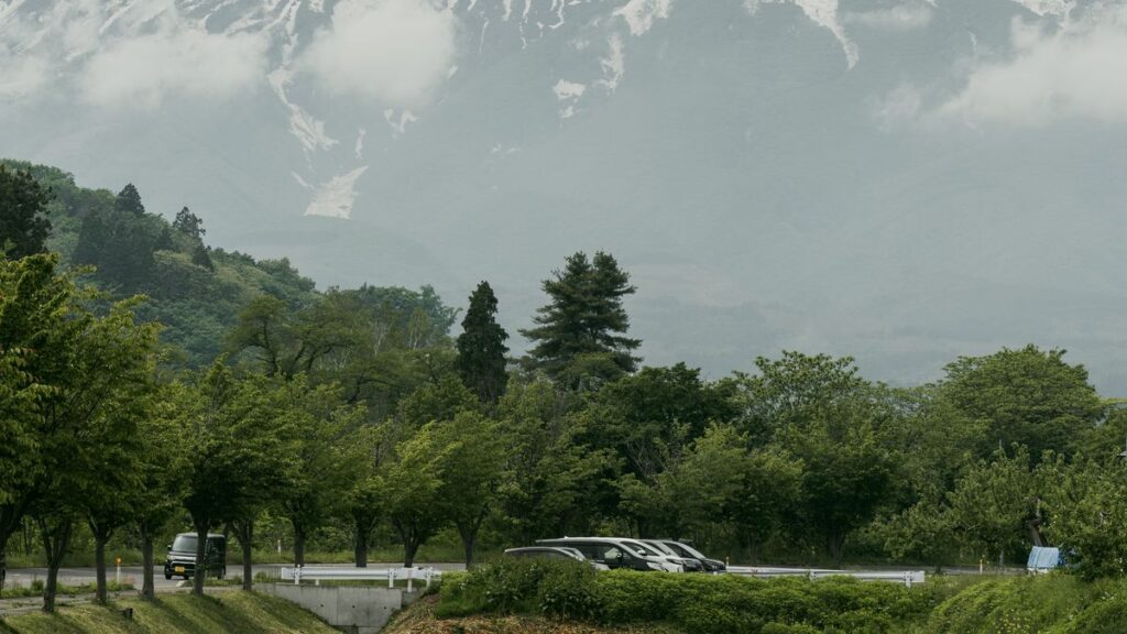 Tohoku Shinkansen Guide: All 23 Stations from Tokyo to Shin-Aomori