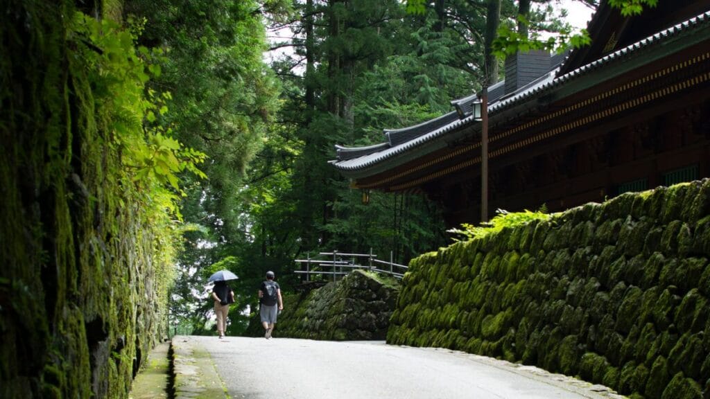 Best Hotels Near Utsunomiya Station | Gyoza Capital & Nikko Gateway