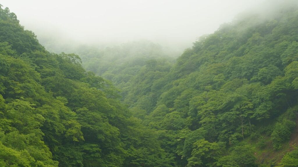 Best Hotels Near Nasushiobara Station | Nasu Highlands & Shiobara Onsen Gateway
