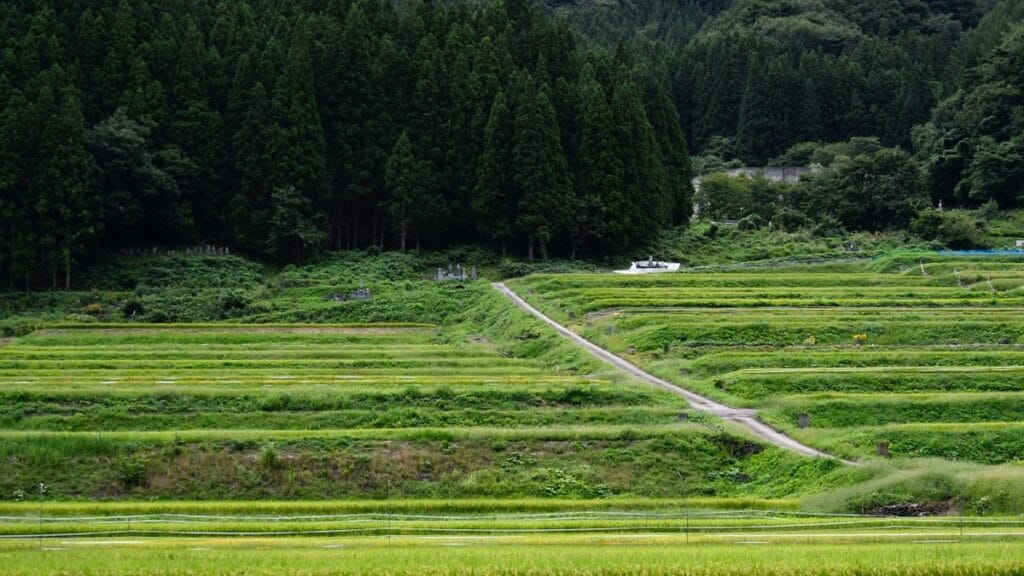 Best Hotels Near Shin-Shirakawa Station | Komine Castle & Shirakawa Ramen