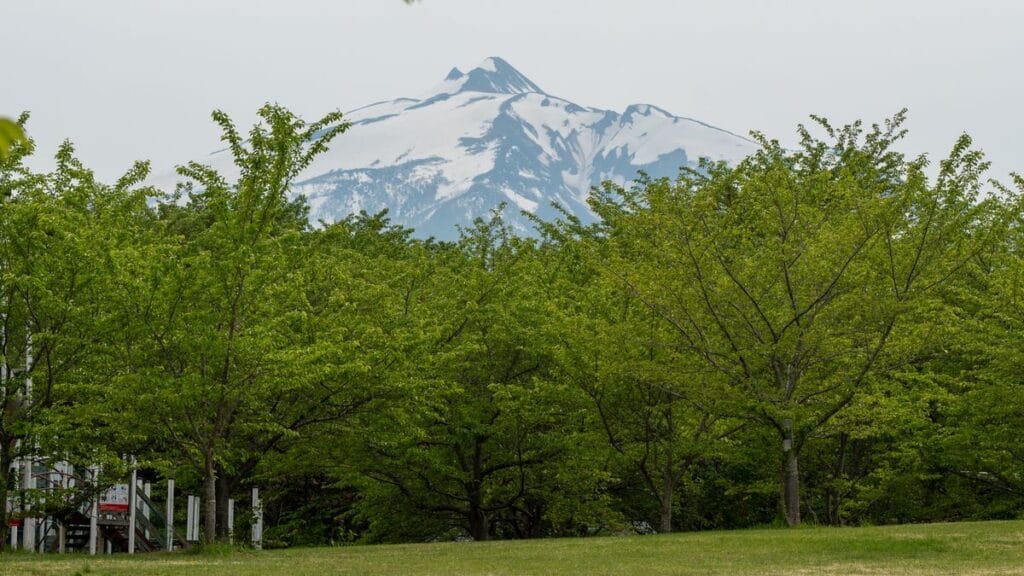 Shichinohe-Towada Station Guide | Towada Art Center & Oirase Gateway