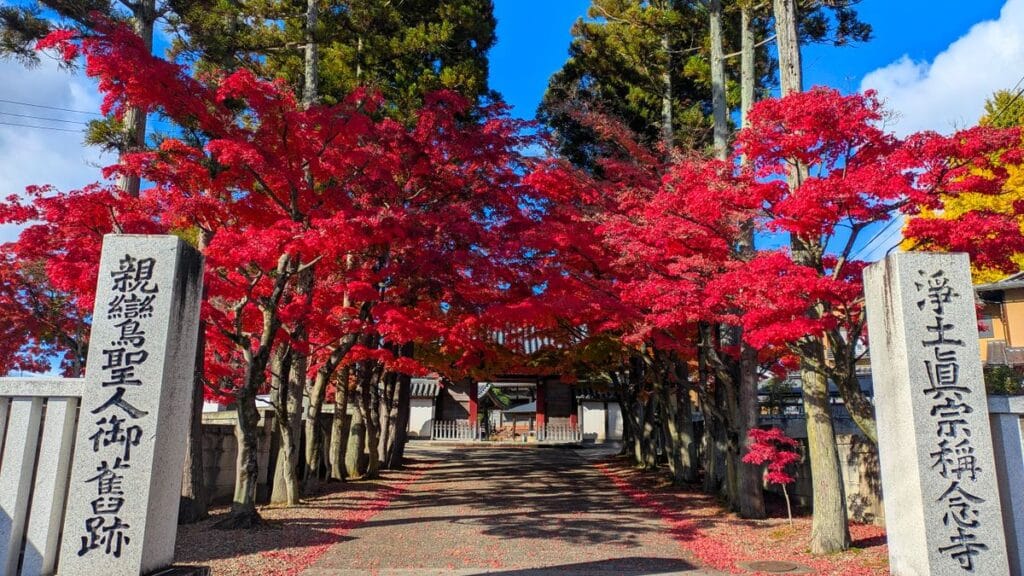 Best Hotels Near Aoba-dori Station | Sendai’s Business Heart & the Matsushima Line