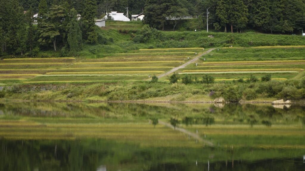 Best Hotels Near Izumi Station (Iwaki) | Onahama’s Quiet Gateway