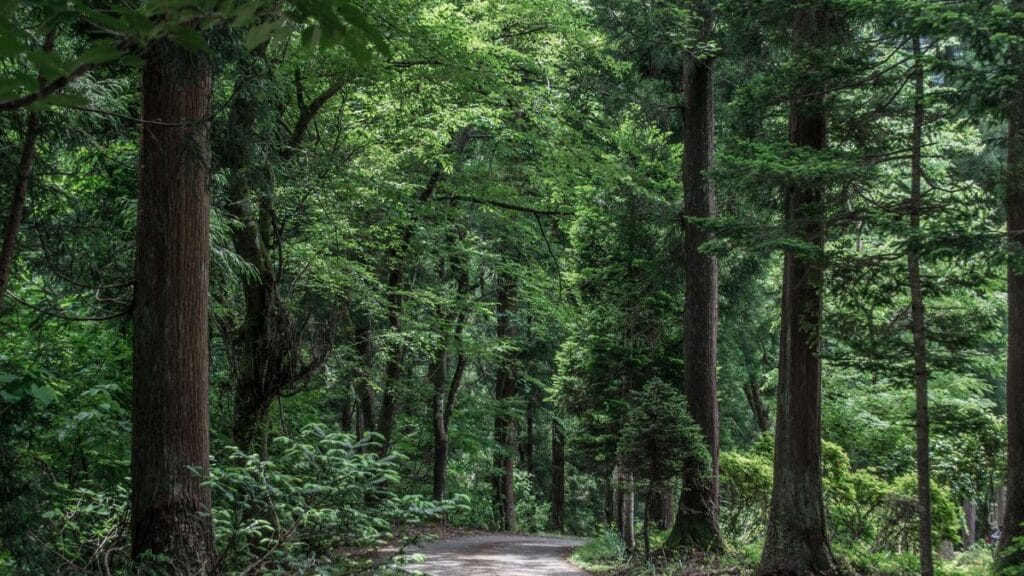 Best Hotels Near Hakusan Station (Niigata) | The City’s Civic Heart