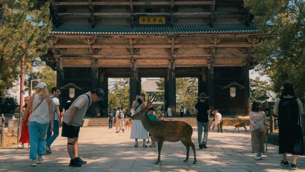 Best Hotels Near Kintetsu-Nara Station | The Deer Park’s Front Door