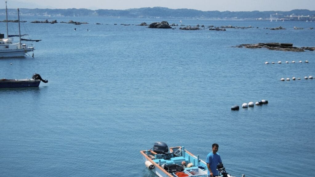 Best Hotels Near Shimonoseki Station | Fugu Capital of the Straits