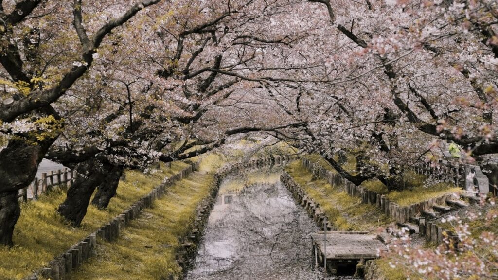 Best Hotels Near Sadowara Station | The Samurai Suburb