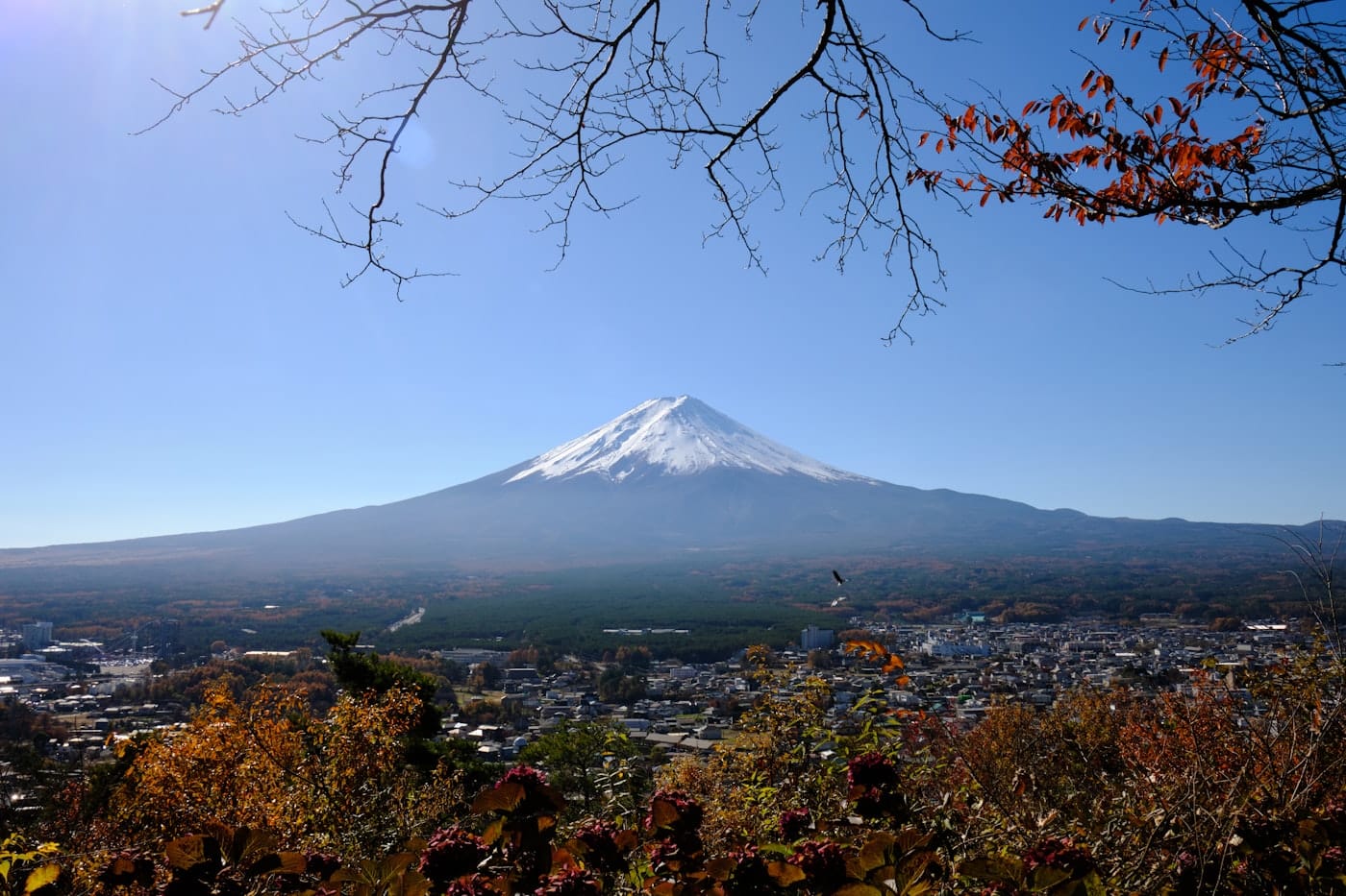 Chureito Pagoda with Mount Fuji in autumn