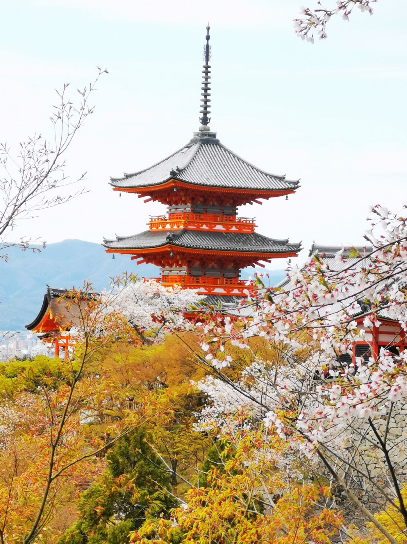 Shrines & Temples