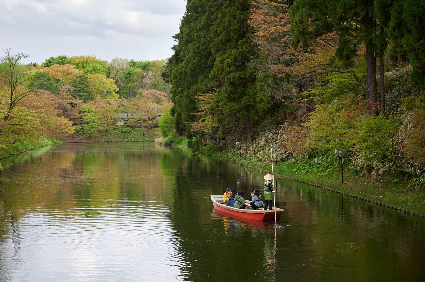 Explore tranquil boat rides through lush spring forests in Hirosaki, Japan, amidst vibrant greens reflecting on a calm river.