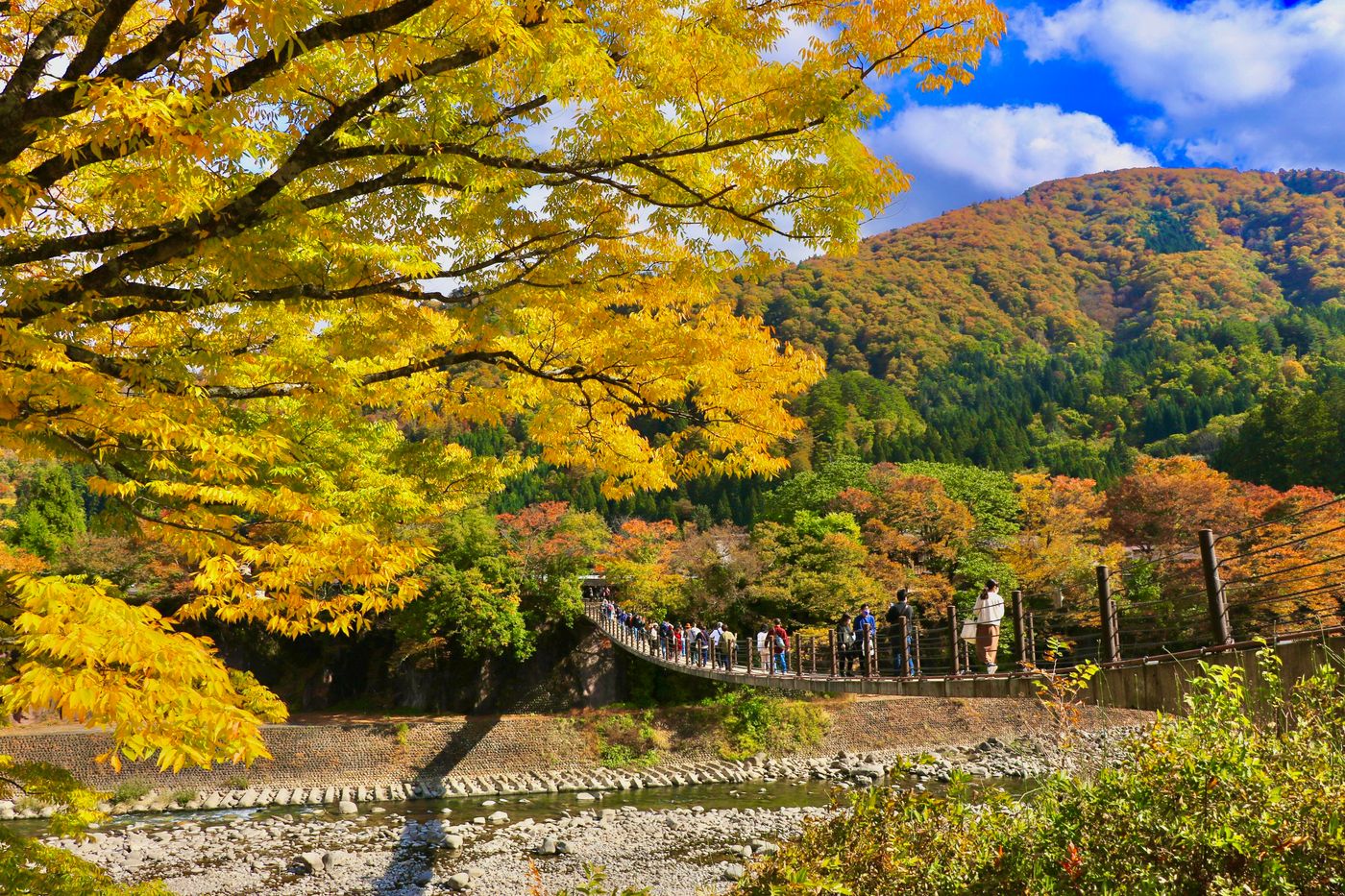 Gujo Hachiman: The Crystal Clear River Town & Japan’s Summer Dance Festival