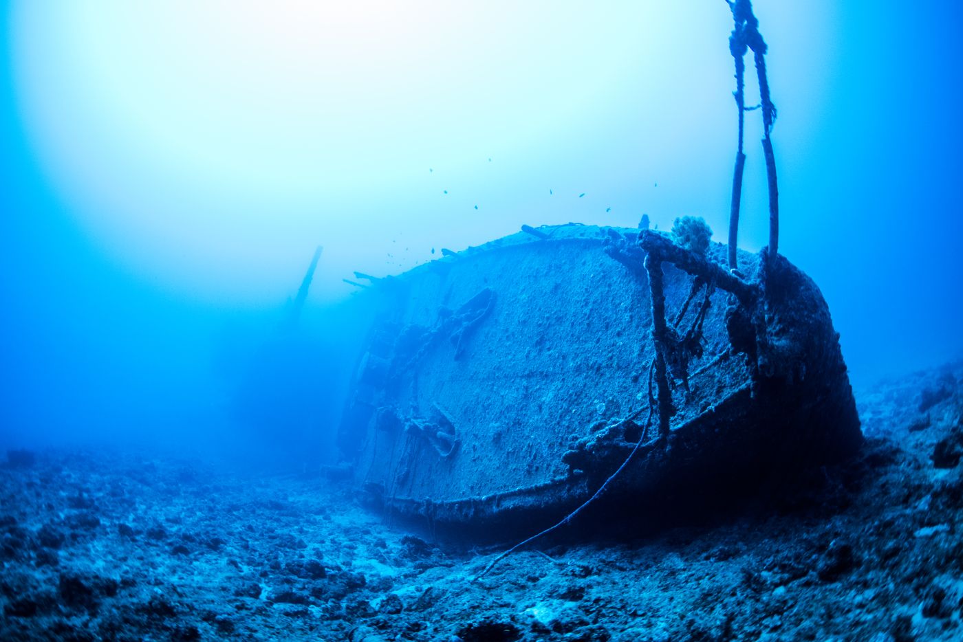 Discover the haunting beauty of a sunken shipwreck off Okinawa's coast.