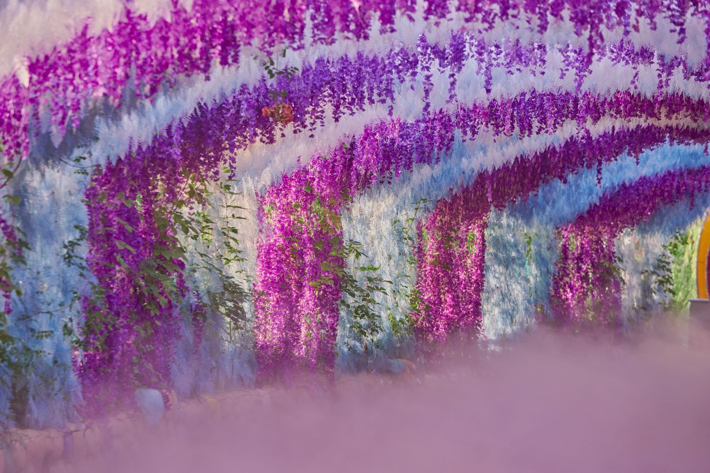 Ashikaga Flower Park Wisteria Guide | Tokyo Day Trip