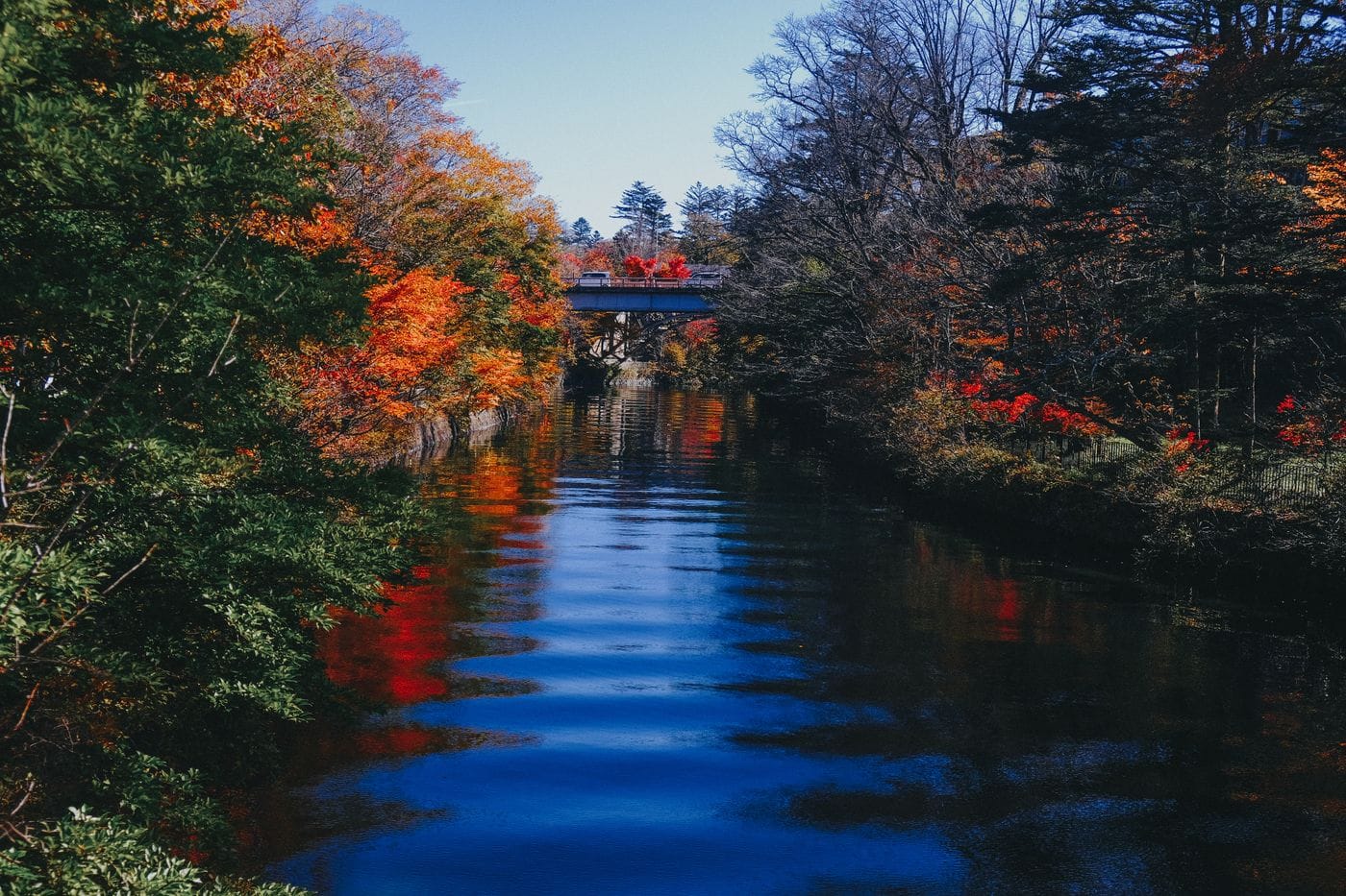 Beautiful autumn scene featuring a bridge over a river with colorful trees in Nikko, Japan.