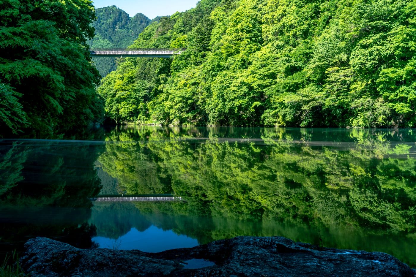 Serene reflection of lush greenery and bridge over calm water in Tokyo, Japan.