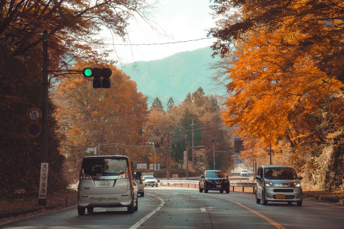 Autumn Leaves in Nikko: Why Japan’s Most Colorful Koyo Is Outside Tokyo