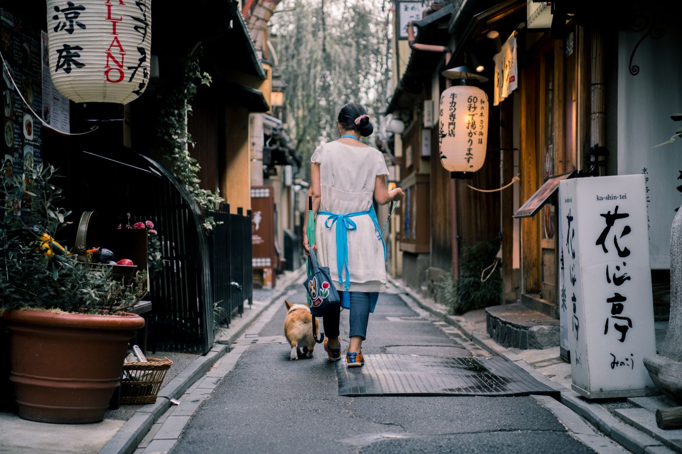 Where to Stay in Kyoto: Best Areas and Hotels Near Major Temples