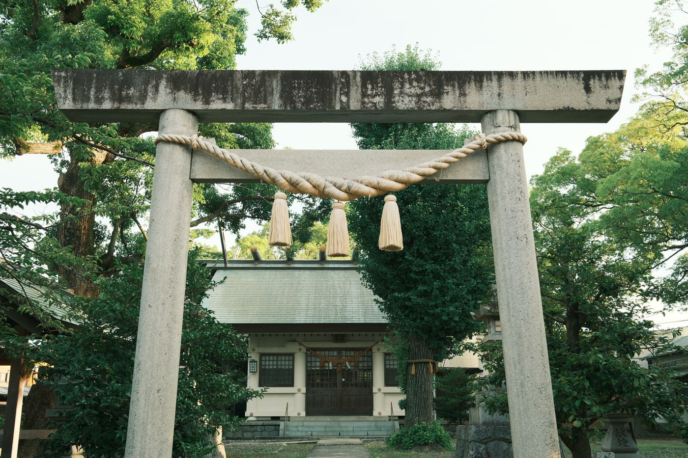 Serene view of a Shinto shrine entrance with torii gate in Toyohashi, Japan