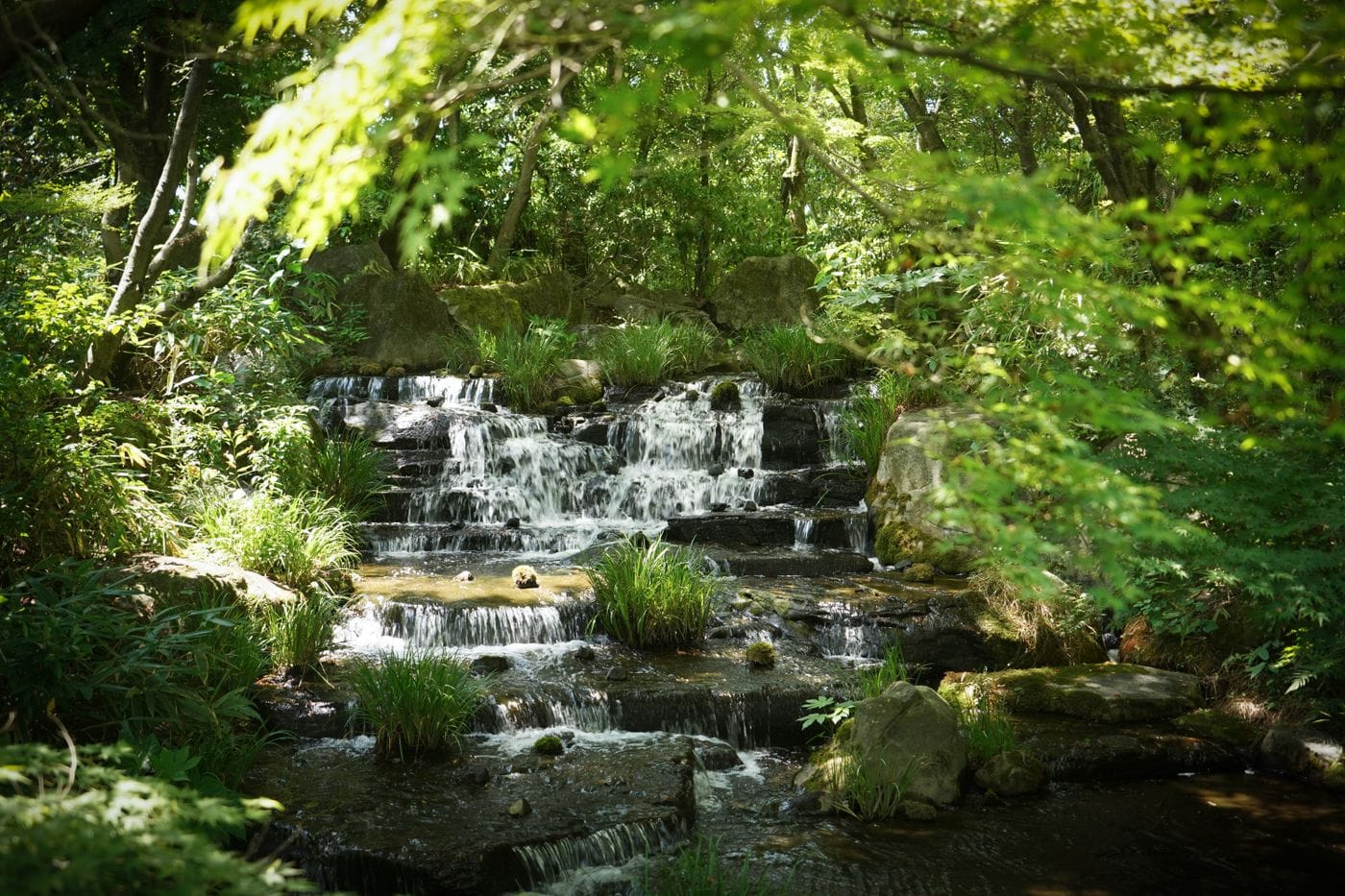 Peaceful cascade amidst lush greenery in Himeji, Hyogo, Japan.