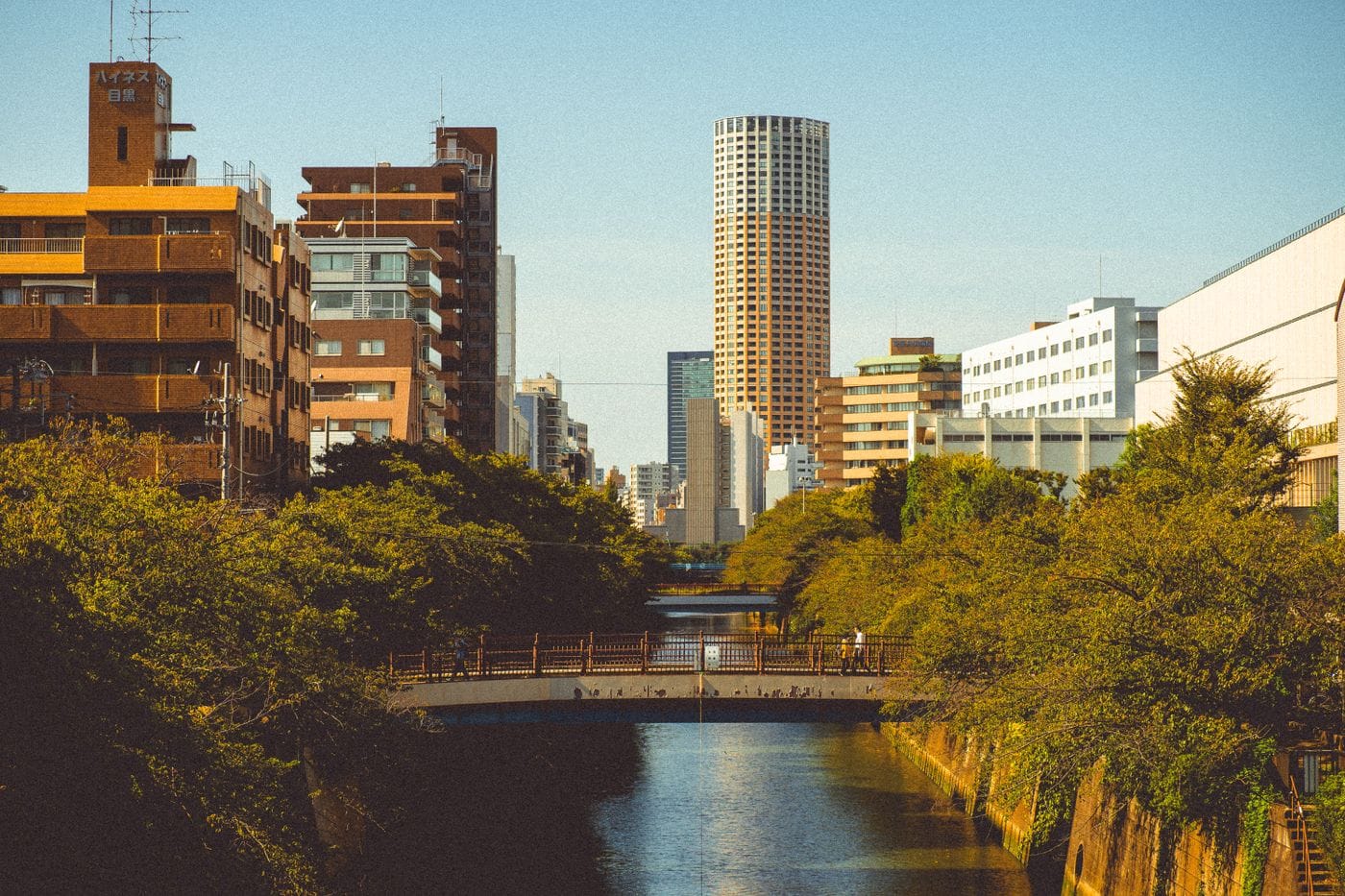 Explore the beauty of Tokyo's Meguro River framed by urban architecture and lush greenery in summer.
