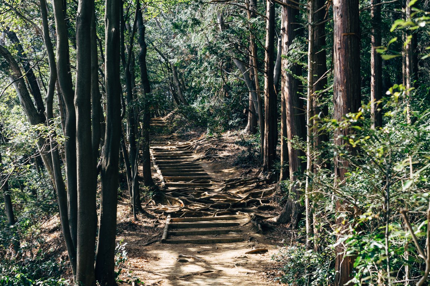 Mount Takao Tokyo Hiking Guide | Michelin 3-Star Day Trip