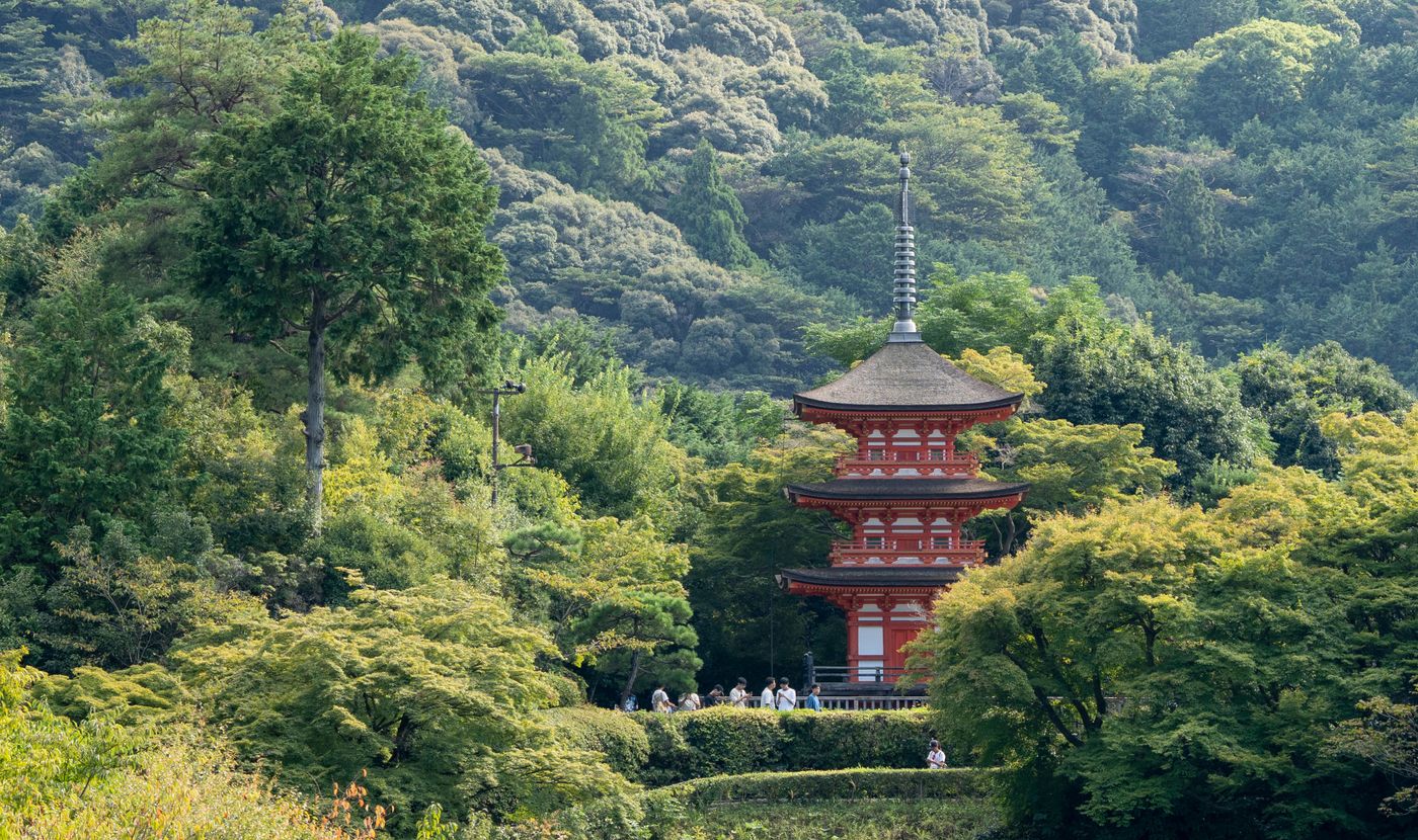 Kyoto Hidden Temples | Kokedera, Daitoku-ji Guide