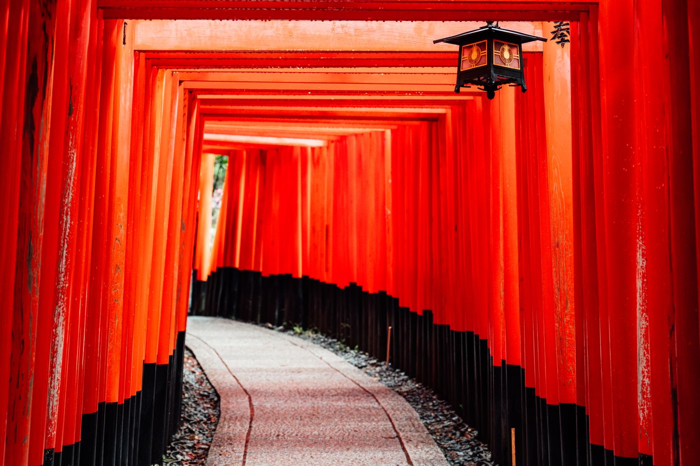Fushimi Inari at Dawn | Avoid Crowds Complete Guide