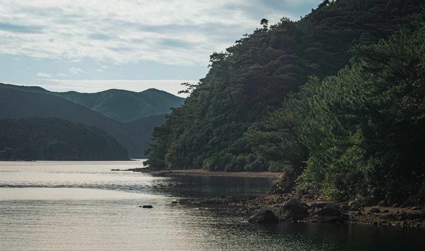 A tranquil coastal view in Amami, Japan, showcasing lush greenery and a serene atmosphere.