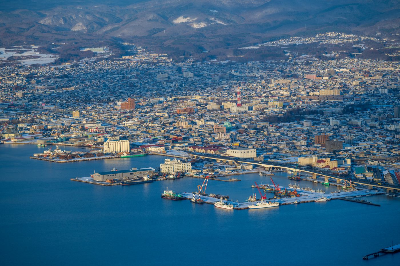 Hakodate: The Star Fort City — Morning Market, Ropeway & the Best Squid in Japan