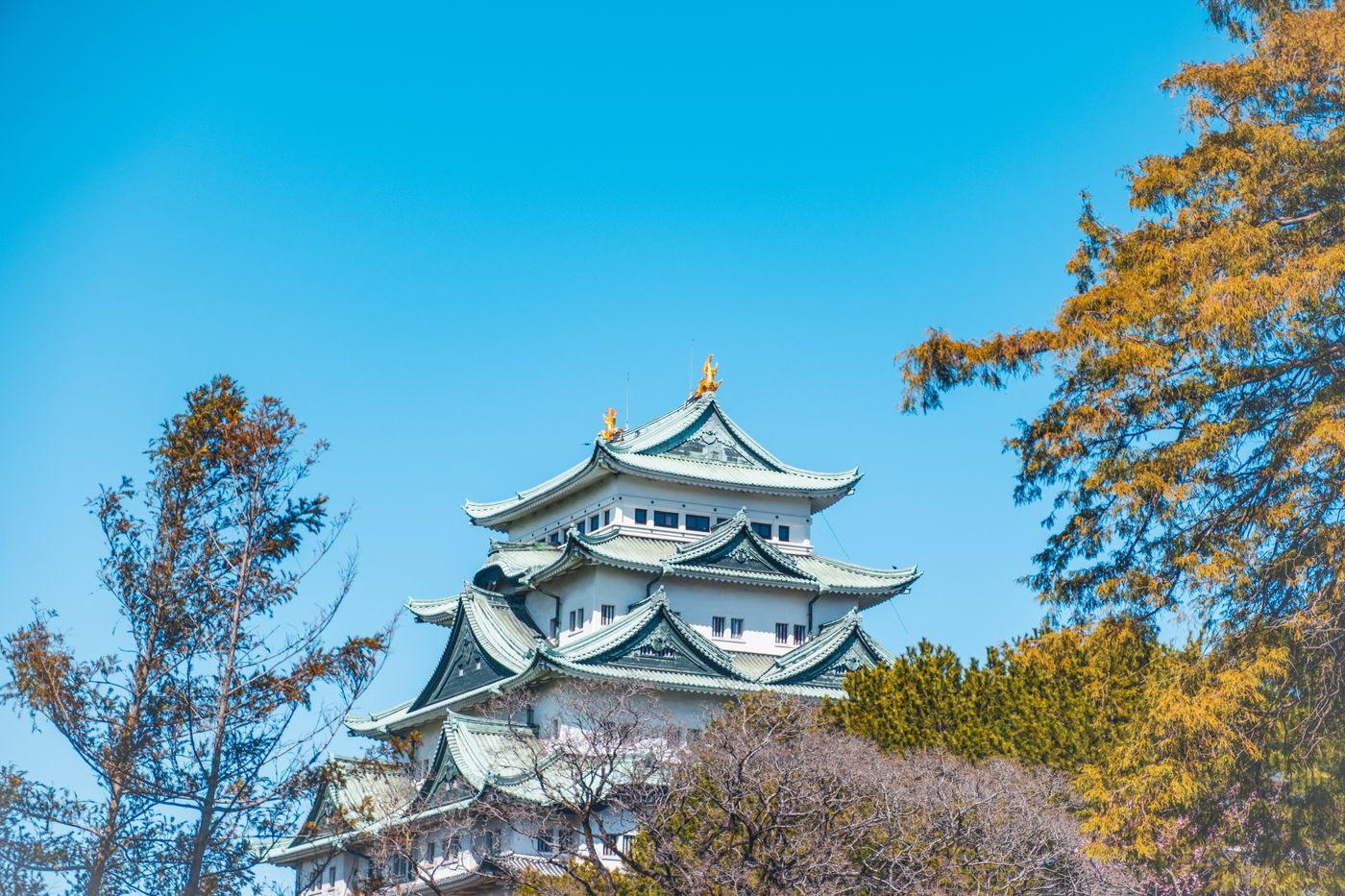 Japanese Castle Guide: Matsumoto, Himeji, Osaka & More