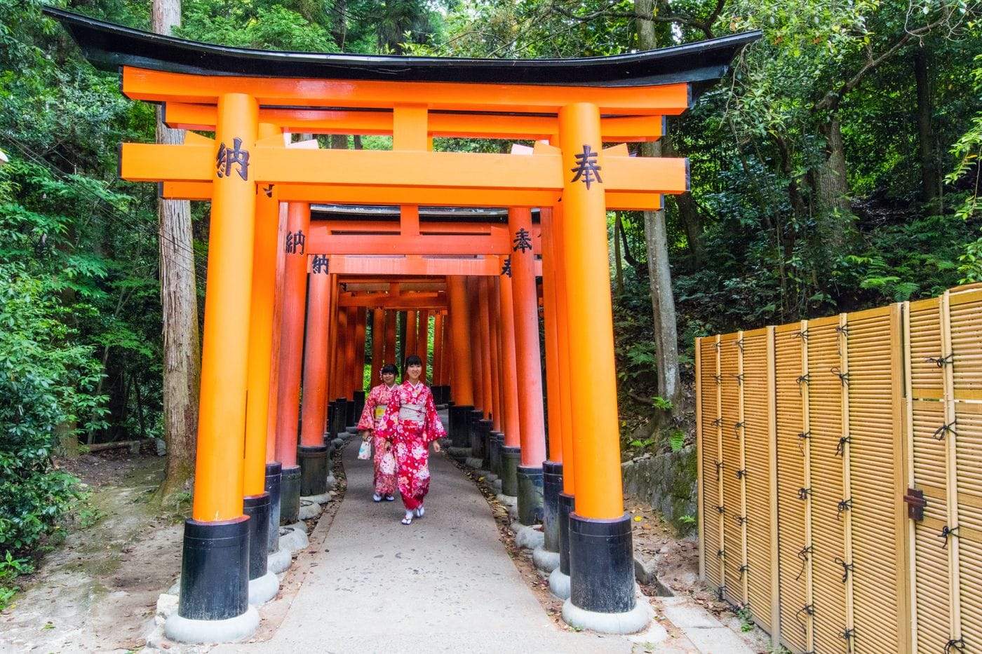 Two women in traditional kimono walk through the iconic torii gates of Fushimi Inari Shrine in Kyoto, Japan.