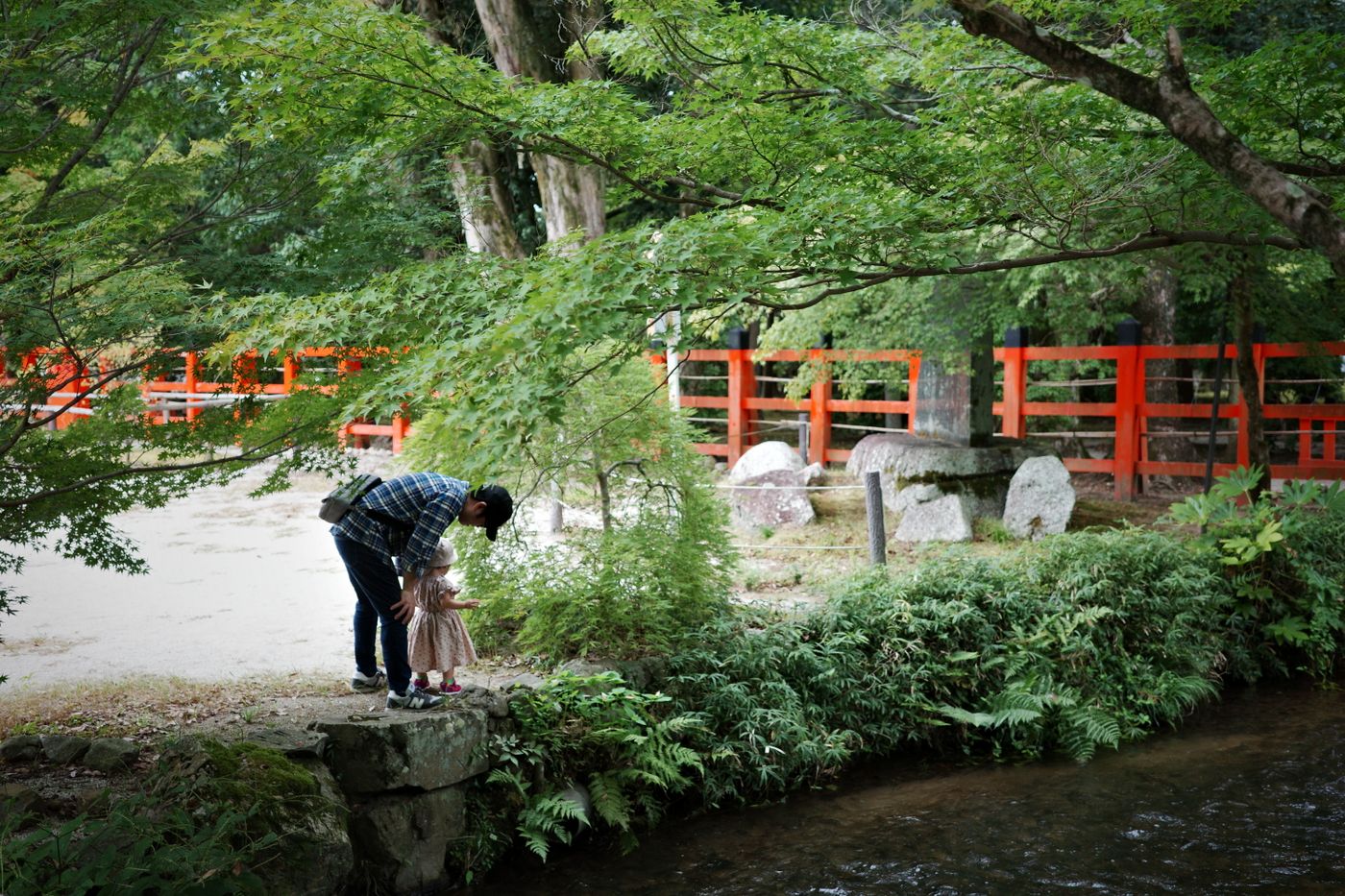 Japan with Kids: Family-Friendly Itinerary for Tokyo, Kyoto & Beyond