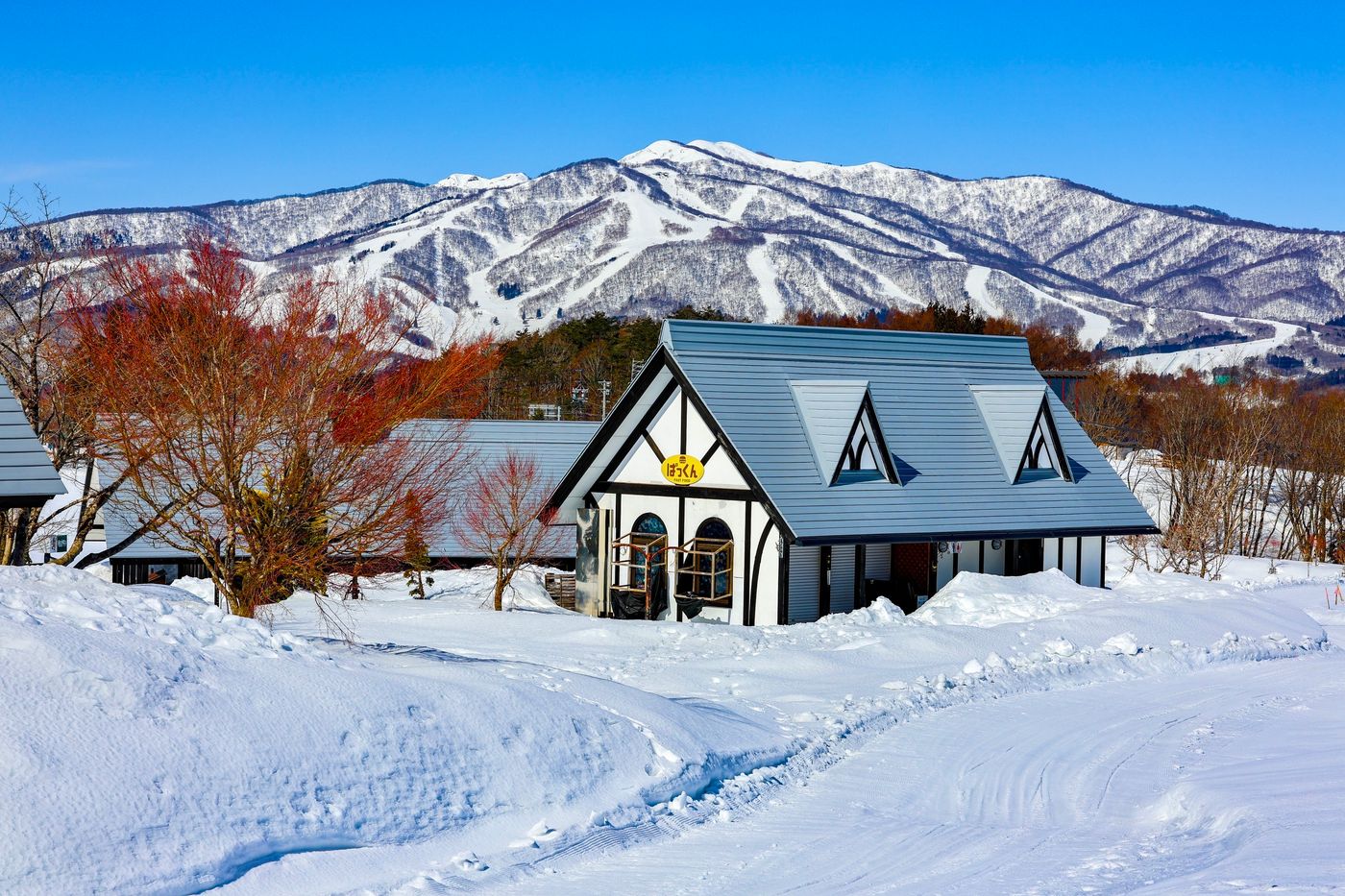 Charming cottage in Hokkaido, Japan surrounded by picturesque snow-covered mountains, ideal for winter escape.