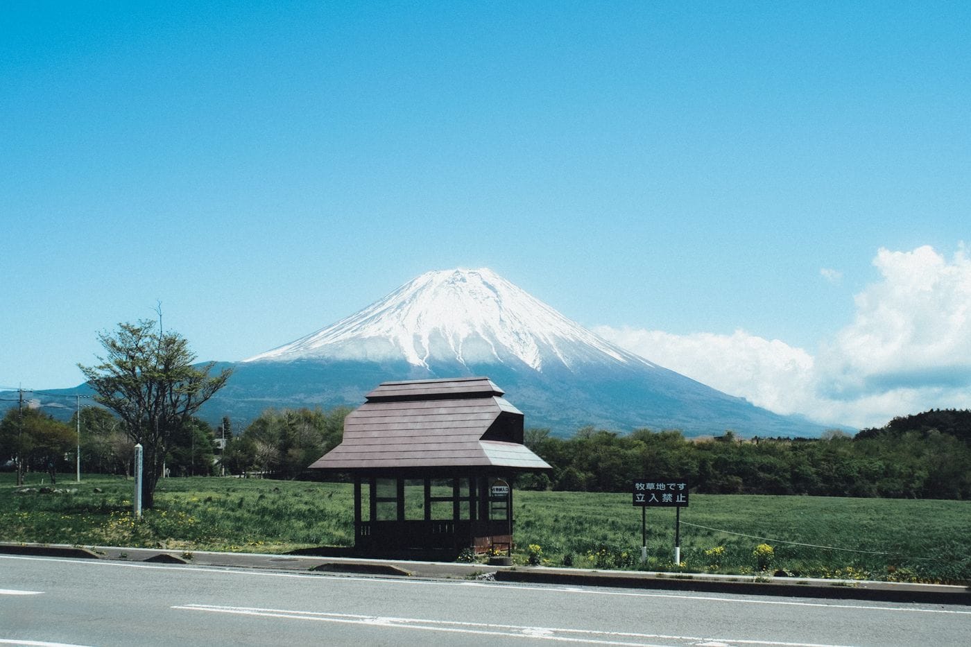 Mount Fuji Day Trip vs Overnight | What Locals Recommend