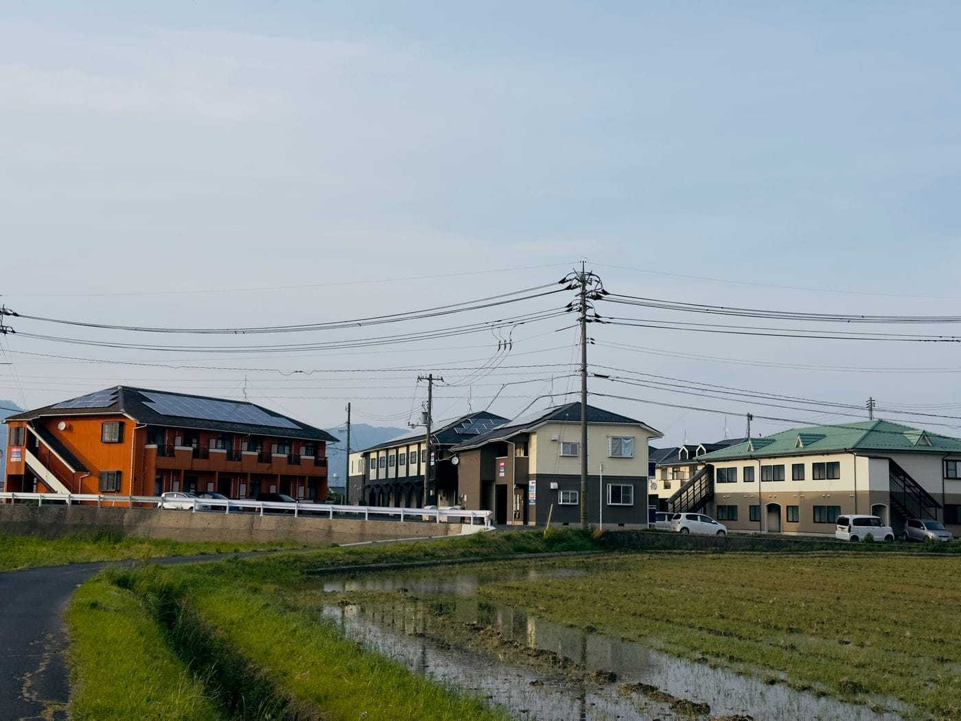 Community & Conservation: How to Find Legitimate Volunteer Programs in Japan