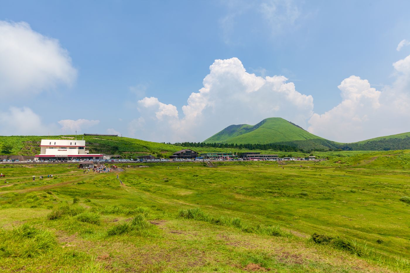 Aso-Kuju National Park: Volcanic Plateaus & Wild Horses in Kyushu