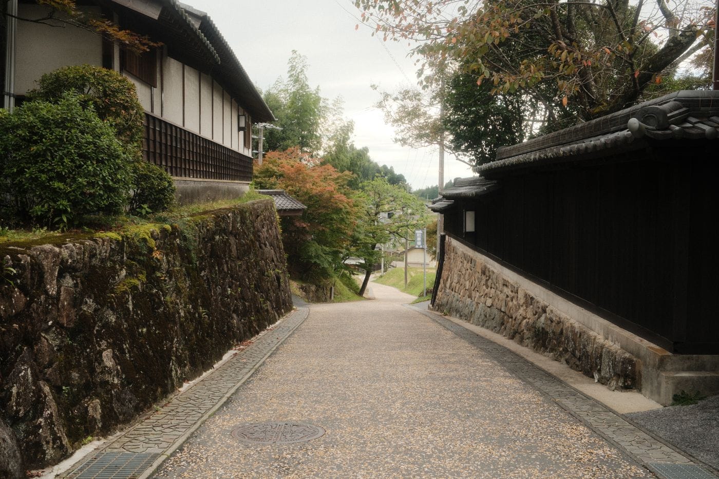 Explore the serene beauty of a traditional street in Nakatsugawa, Gifu, Japan.