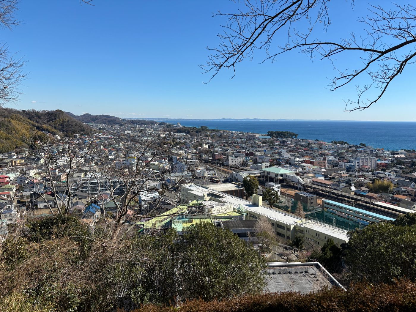 Kamakura Day Trip Tokyo | Great Buddha, Hiking & Seafood