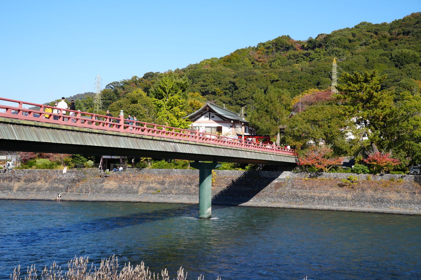 Uji Day Trip Kyoto | Byodoin, Matcha & Tale of Genji