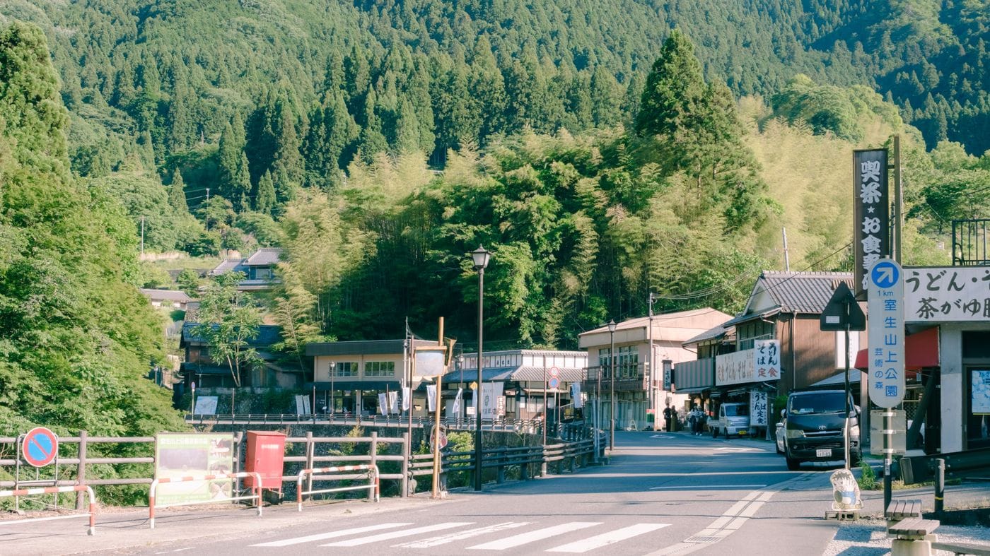 Satoyama Workcamps: Volunteering to Clear Bamboo & Restore Japan’s Forests