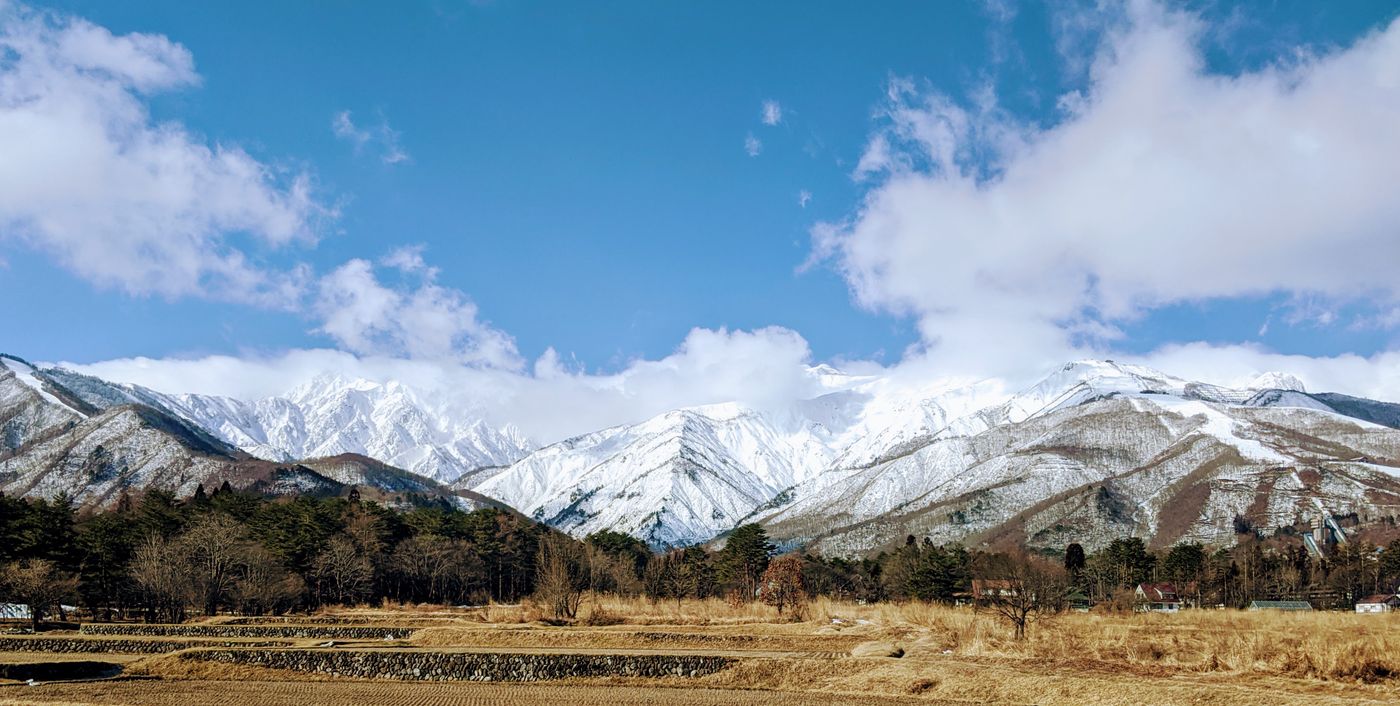 Hakuba Valley in Summer: Japan’s Alpine Hiking & Mountain Flower Season