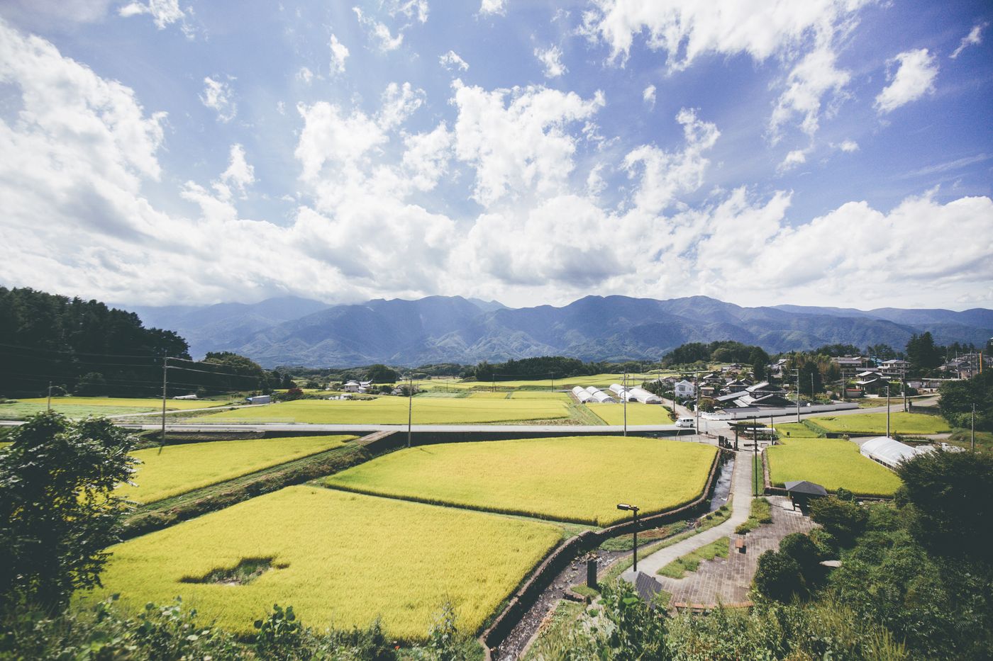 Farm Stay (農泊, Nouhaku) in Japan: How to Experience Rural Life as a Guest
