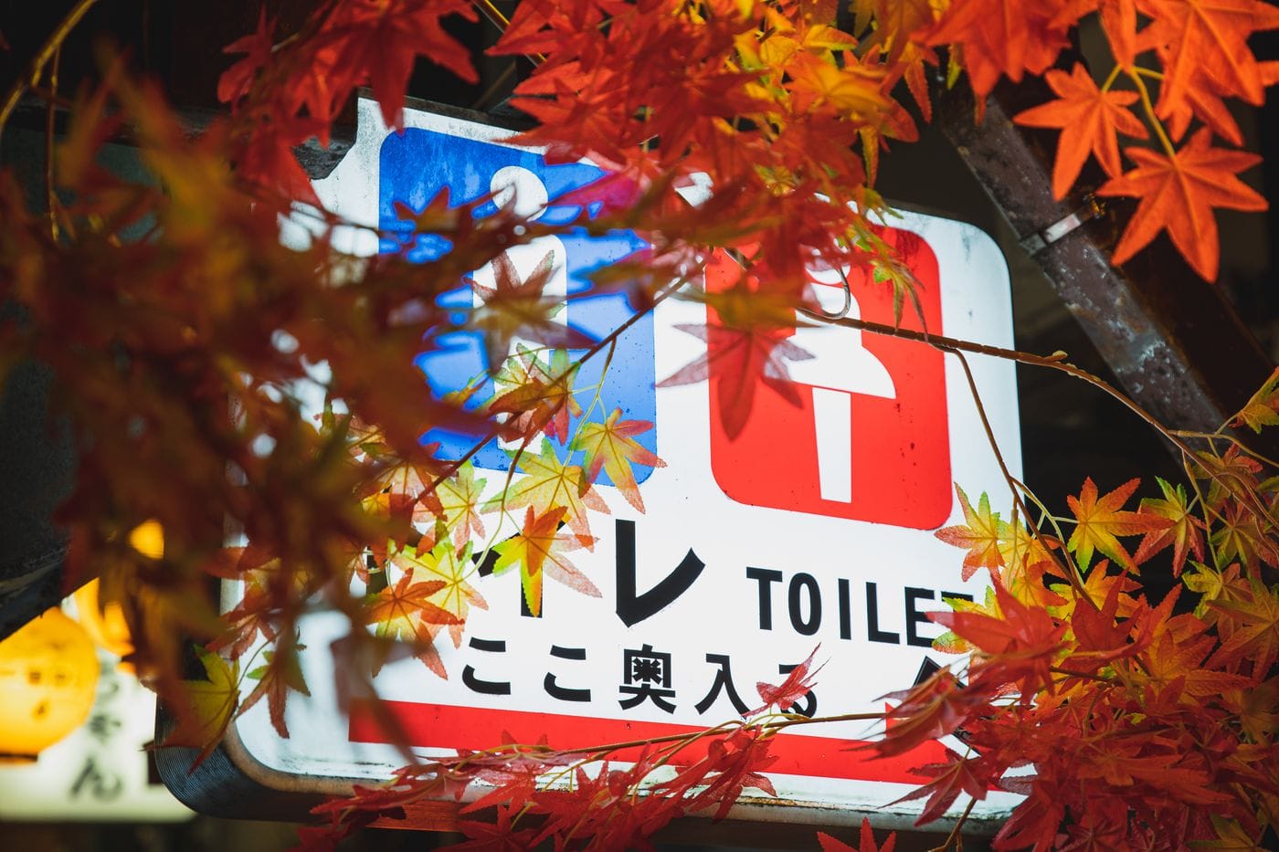 Keigo (敬語): Why Polite Japanese Is Its Own Language