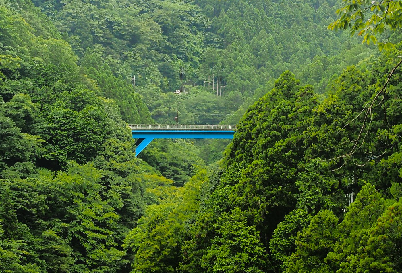 Okutama Tokyo | Gorge, Limestone Cave & Mountain Wild