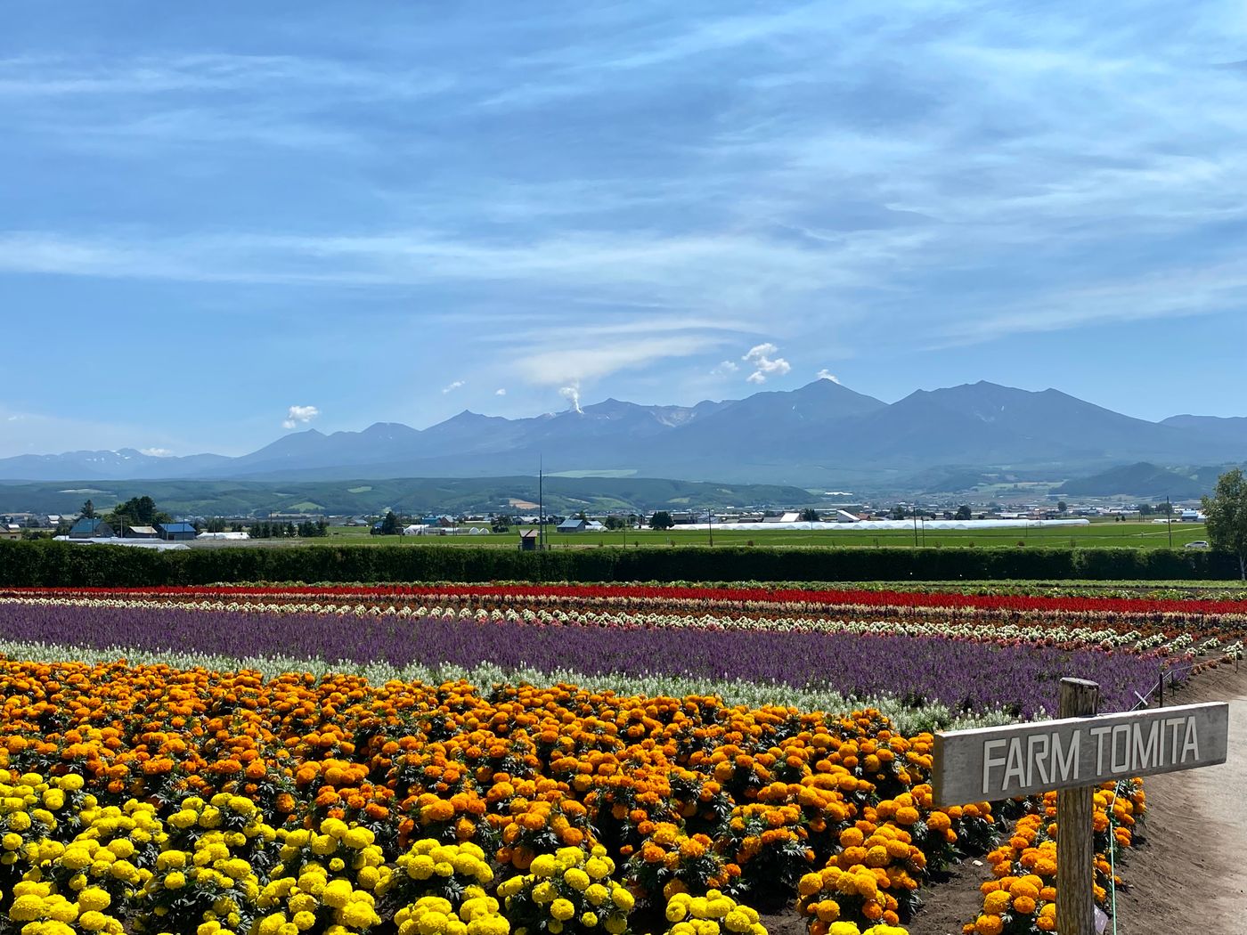 Hokkaido in Summer: Lavender, Lakes & Why It’s Japan’s Best Summer Escape
